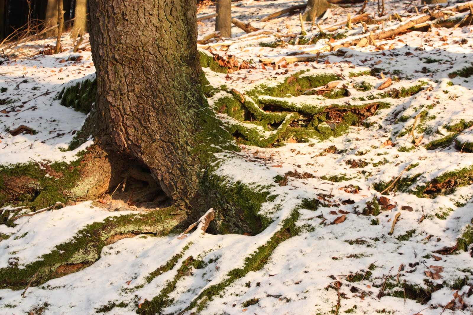 [Giessen+12.2009+198.jpg]