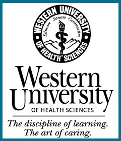 Westernu application login image
