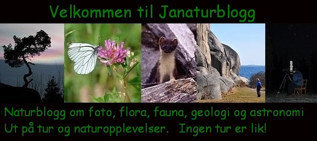 Janaturblogg