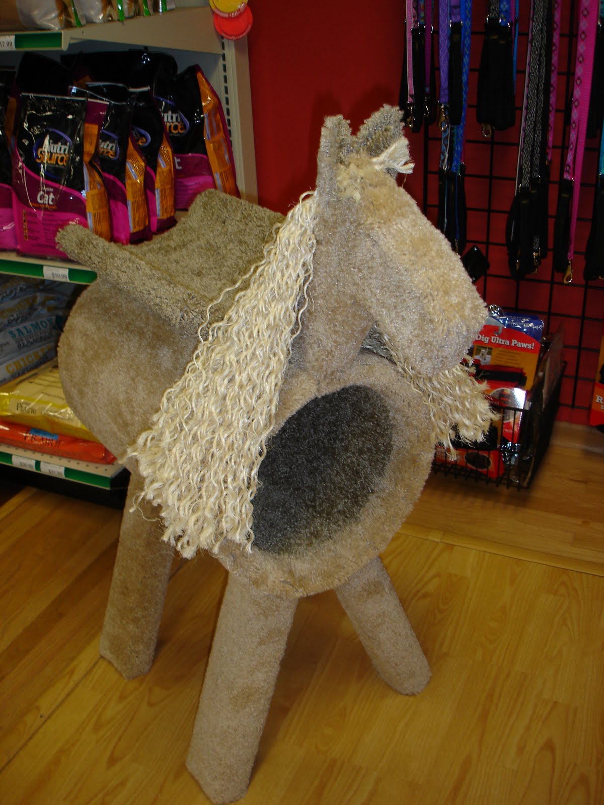 Nature's Pet Market - NW Portland: New Cat Posts In!