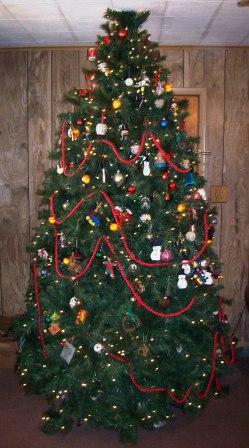 [tree.jpg]