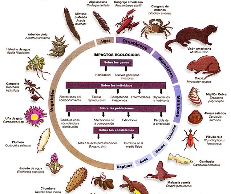 Biologia ESPECIE....