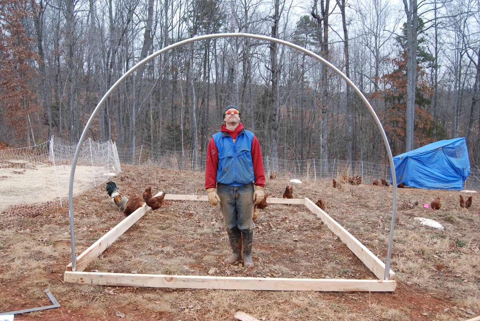 virginiaisforlykoshes How to Build a Greenhouse