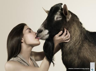 hotel universal: goat porn