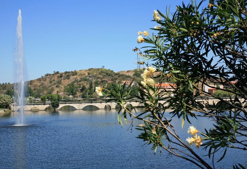 [Cópia+de+IMG_3835b.jpg]