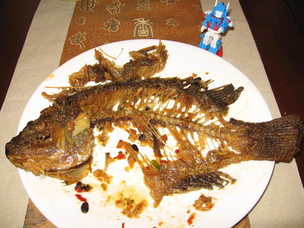 Fongpay's Universe: Destroyed Fish