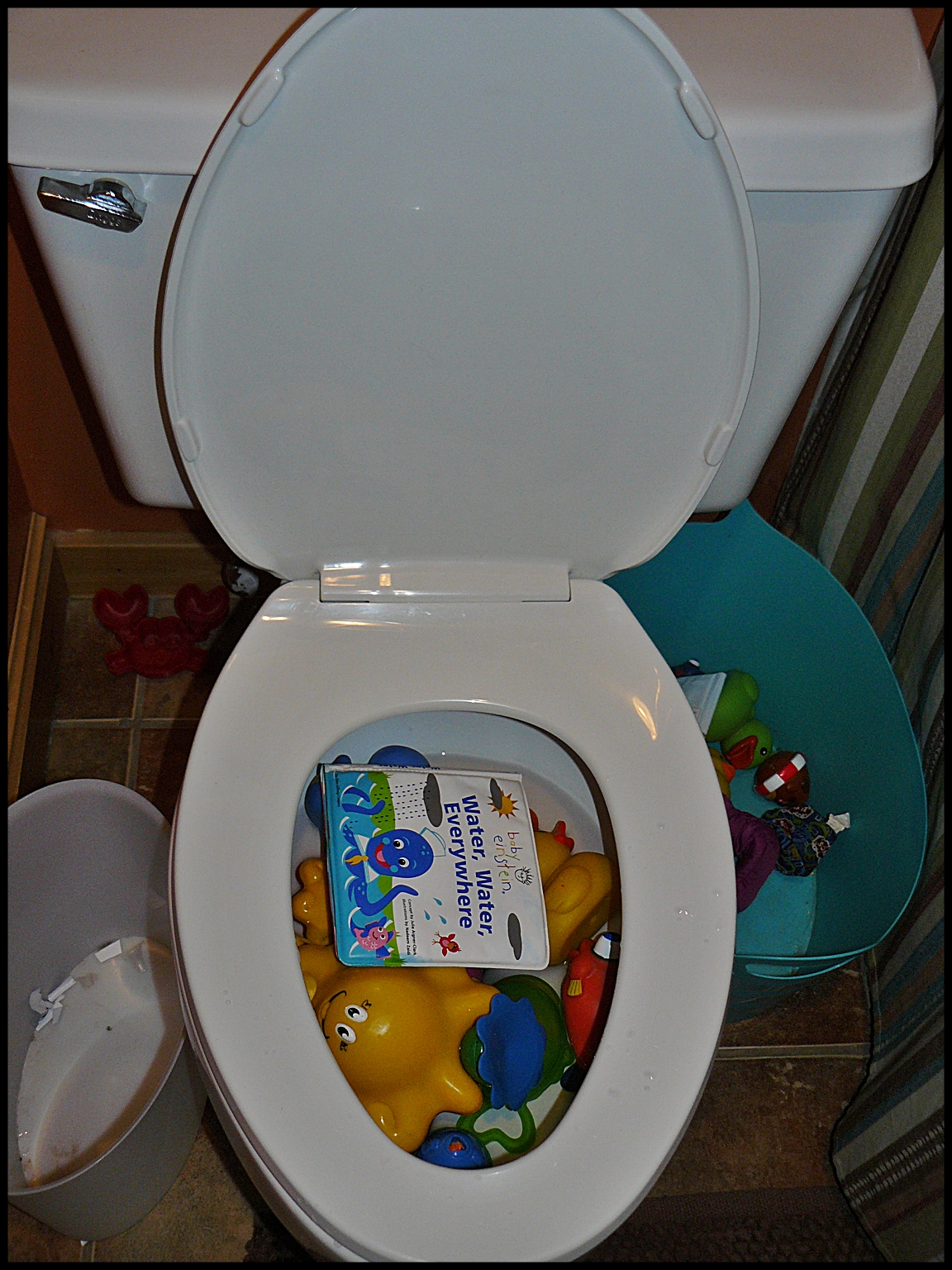 Poop On My Shirt Sink or Float?