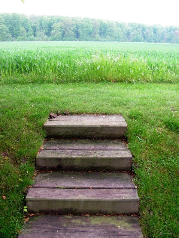 Gartenarbeit Ideen Eine Treppe Stufen nur für den Blick