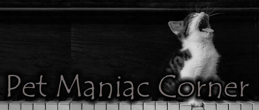 Pet Maniac Corner