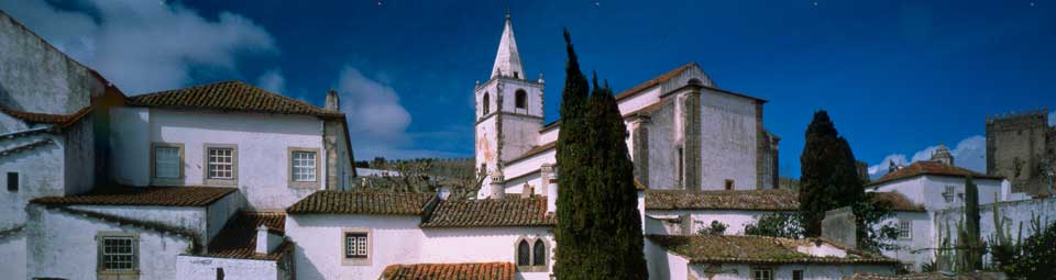 A detail of Obidos