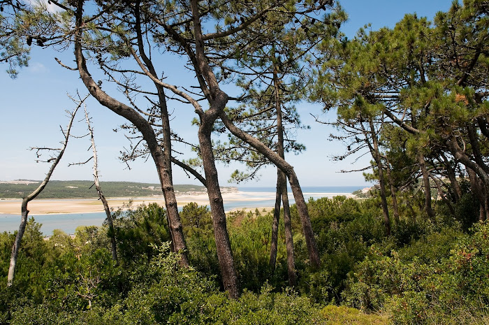 The lagoon viewed from Foz do Arelho