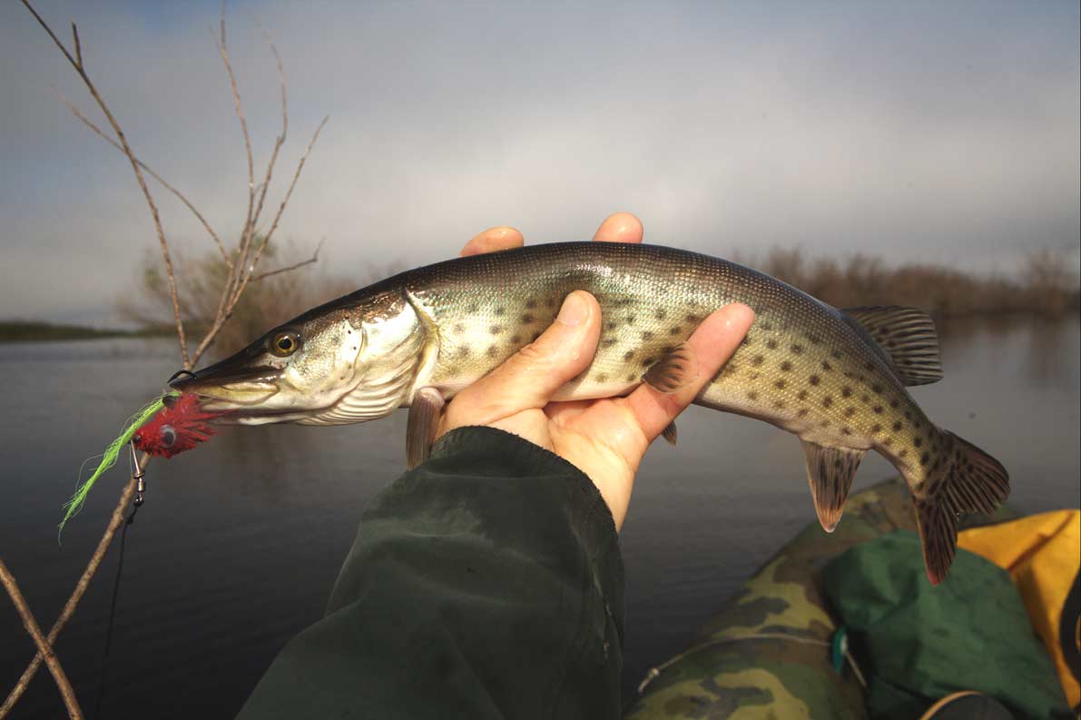 Fishing lake near me now Clearance