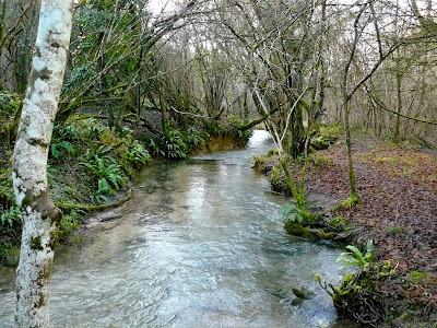 Walking in the country: Sapperton and Daneway