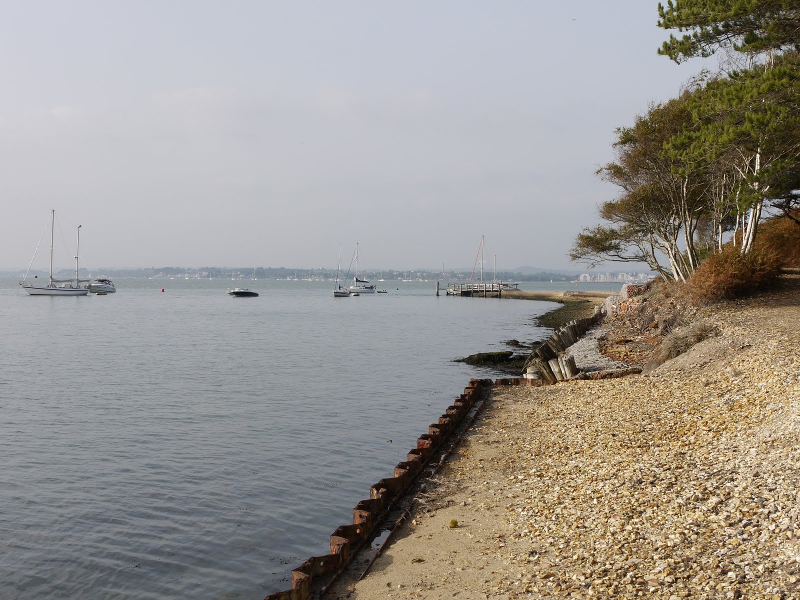 Walking in the country Brownsea Island