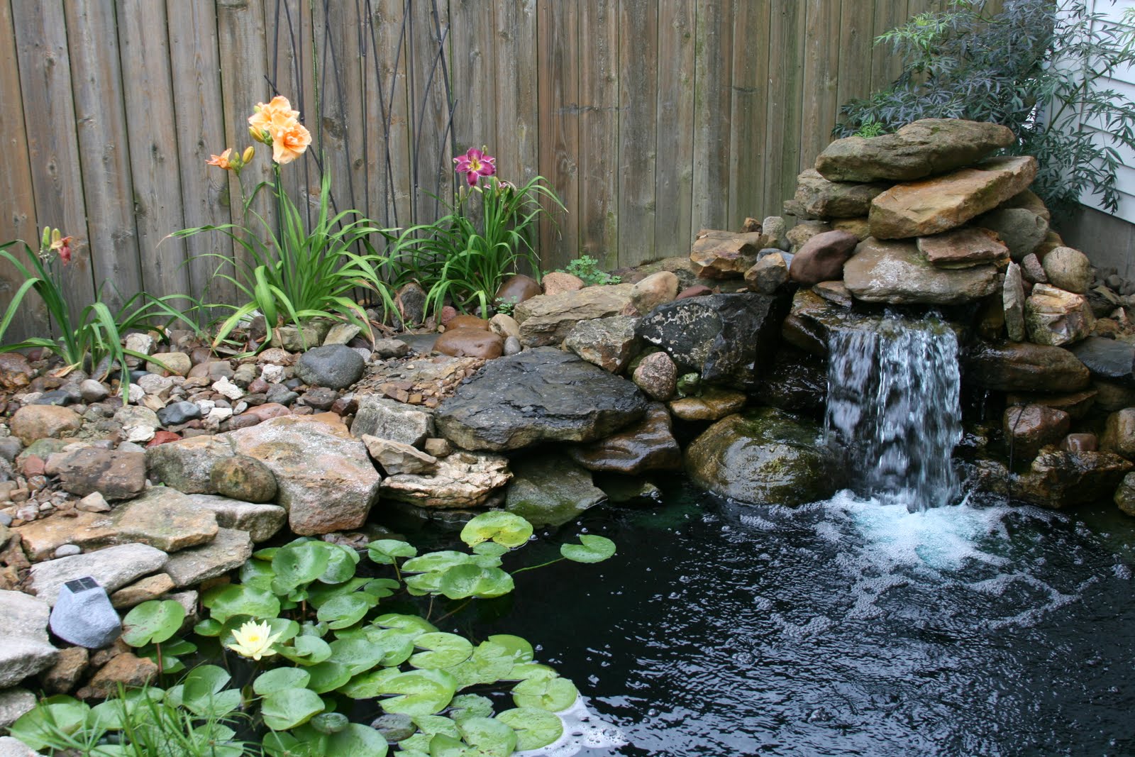 koi-pond-50-water-change10.jpg