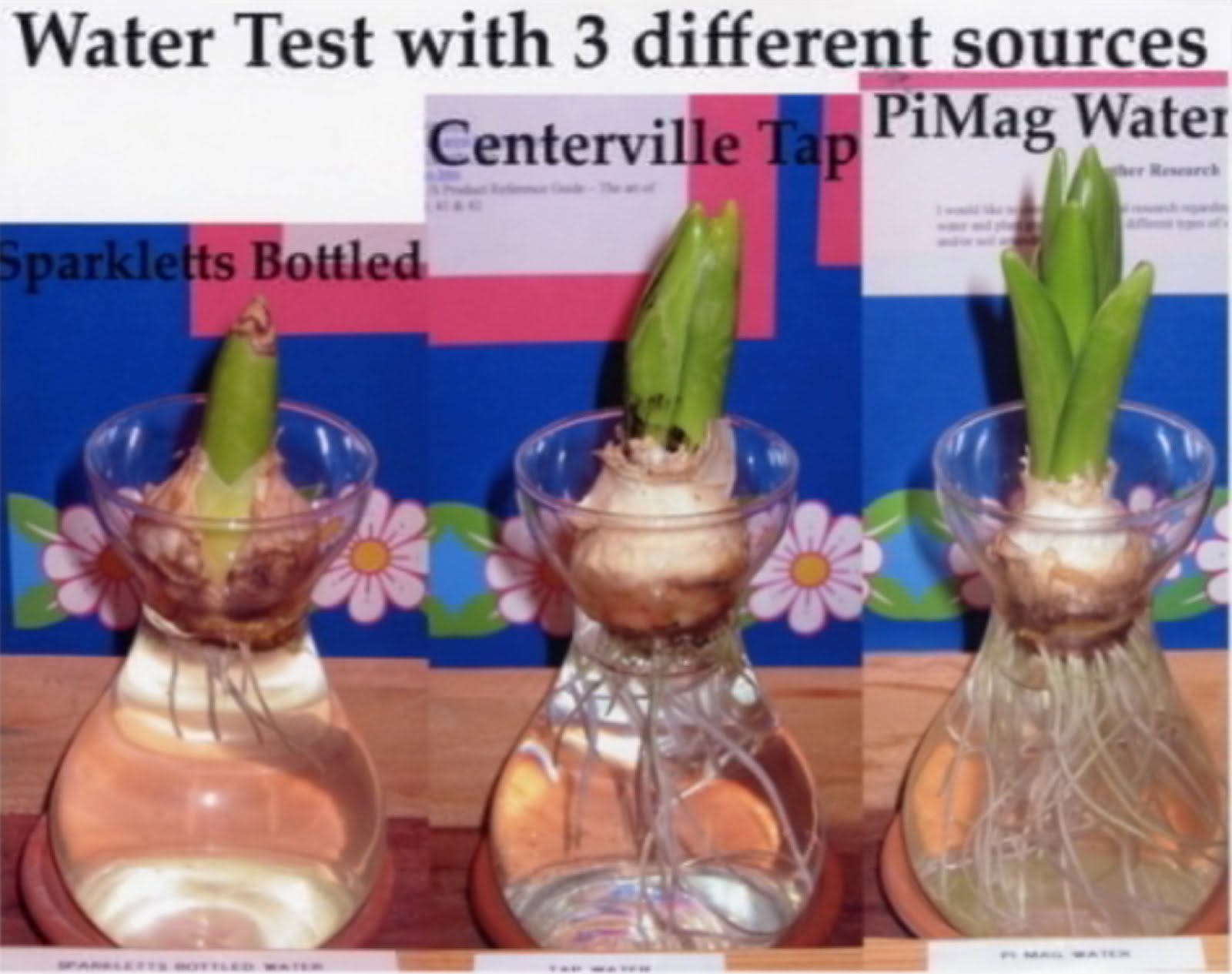 WellnessOM.com - Nikken Products at 20% discount!: NIKKEN PiMag Water