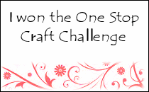 I Won at One Stop Craft Challenge