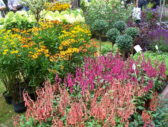 [Langenburg07+013.jpg]