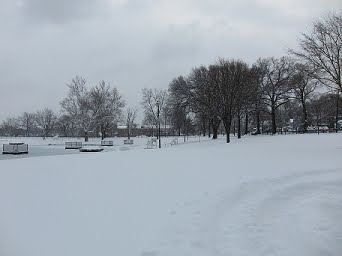 [Graydon-Park-during-snowstorm_2010-02-26.jpg]