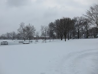 Graydon Park during snowstorm 2010 02 26