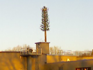[Cell+Tower+from+Waste+Treatment+entrance.jpg]