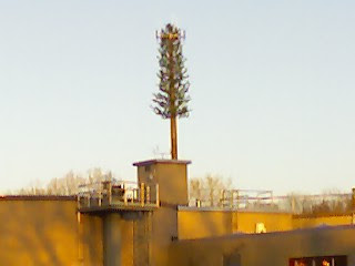 Cell+Tower+from+Waste+Treatment+entrance