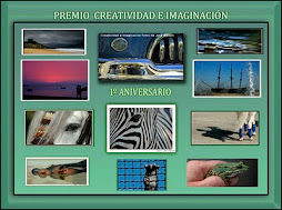 premio, a la creatividad e imaginación -