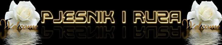 Pjesnik i Ruza