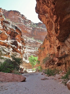 Trail in Hualapi Canyon Havasupi reservation Arizona