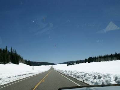 Snowy meadows along SR67 Kaibab National Forest Arizona