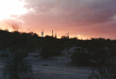 Desert sunset Arizona