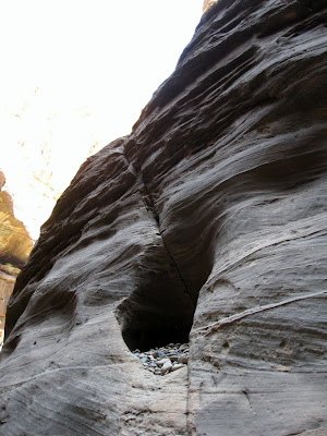 Carved sandstone along the Virgin River Zion National Park Utah