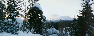 Mount Saint Helens Gifford Pinchot National Forest Washington