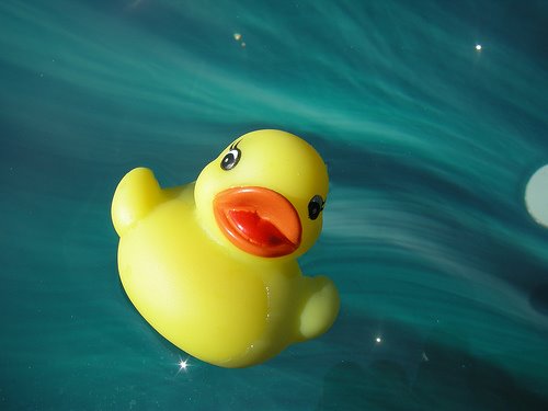 [1136228519_e73cd8358a.jpg]