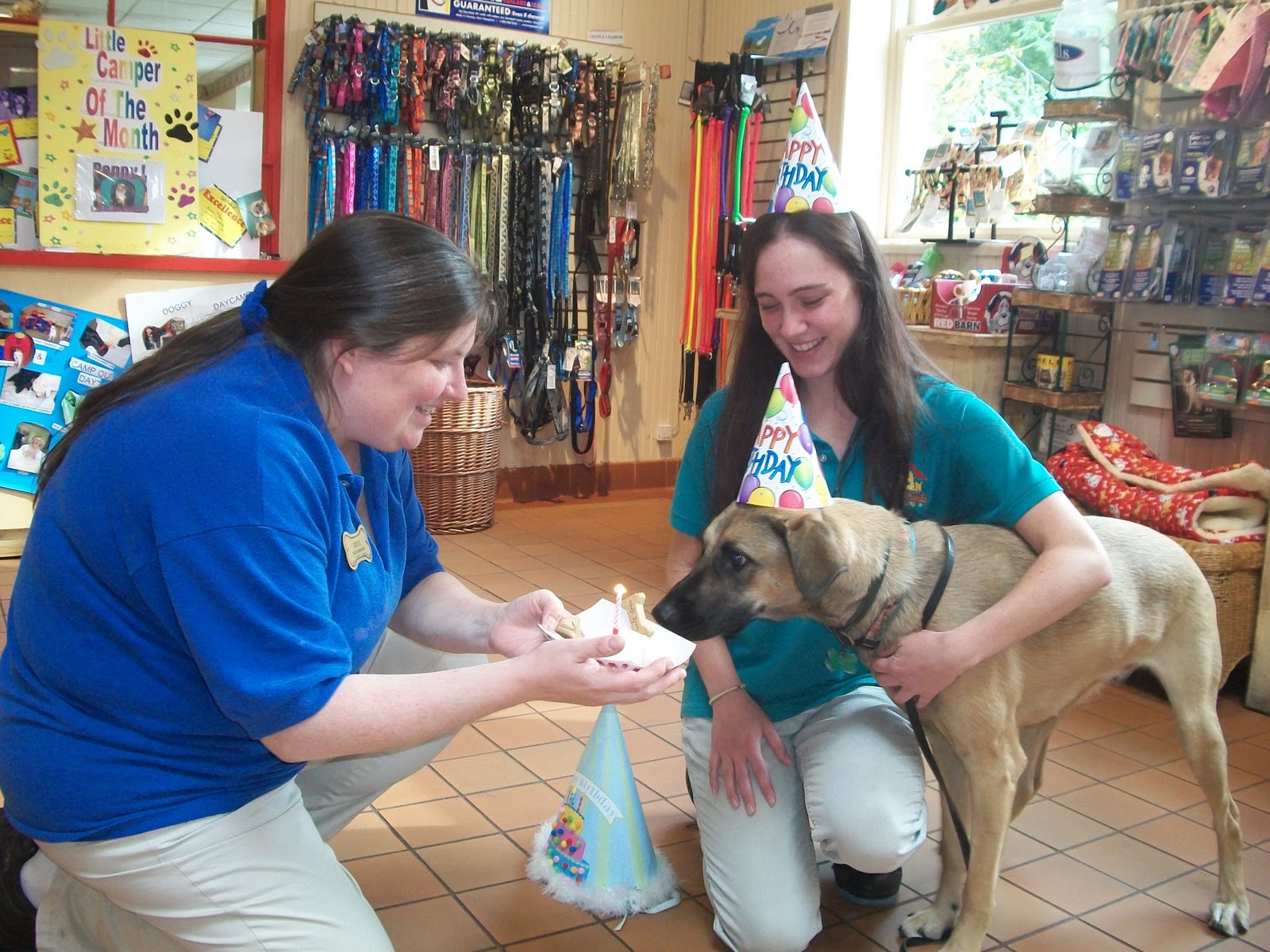 Best Friends Norwalk Happy Birthday Mia 