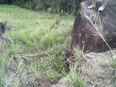 Lugar vacio de origen de Kueka en la Quebrada de Jaspe