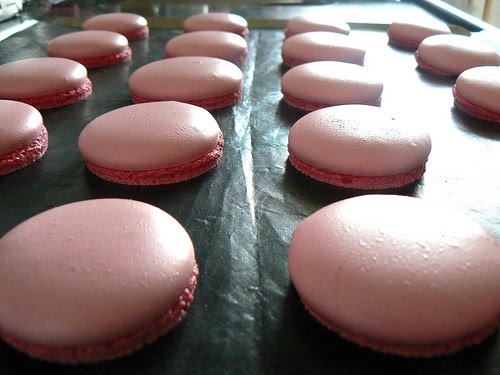 [cooked+macaron+on+tray.jpg]