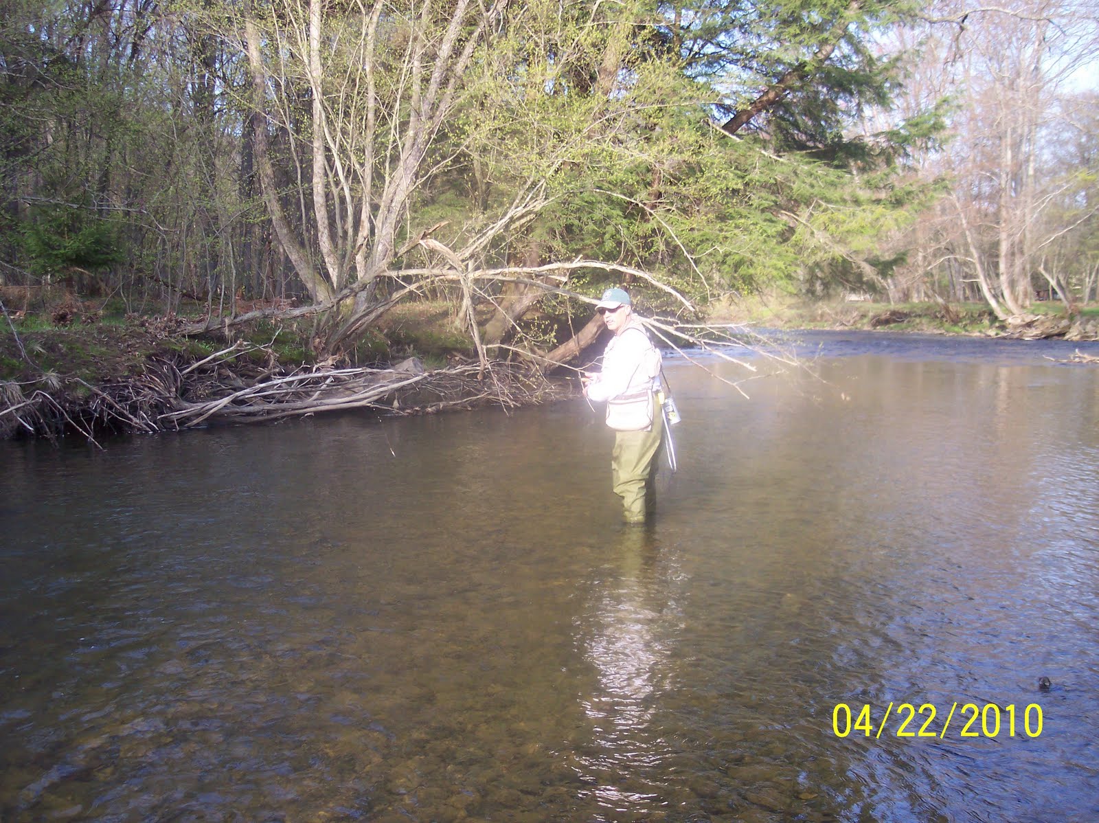 Casey's Cabin (the fricken camp) KINZUA CREEK FISHING