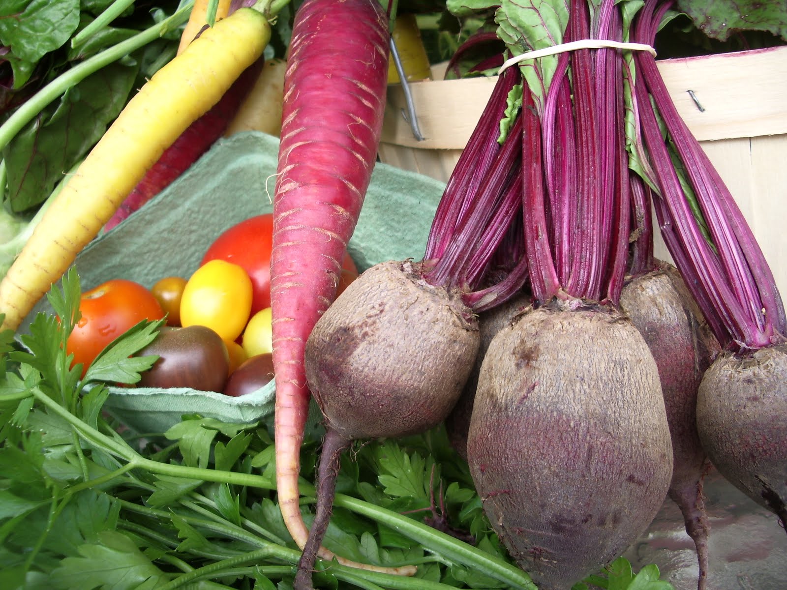 Kitchen Earth The Lazy Lima Bean CSA Updates Week's 4 and 5