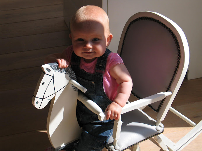 Roos op 't Paard