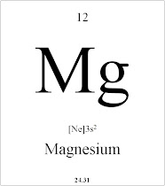 12 Magnesium