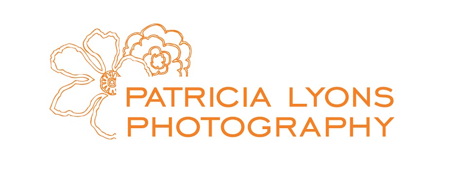 Patricia Lyons Photography