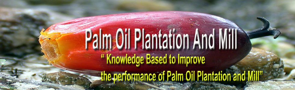 Best Solution for Palm Oil Plantation and  Mill