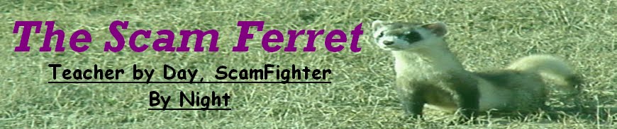 The Scam Ferret