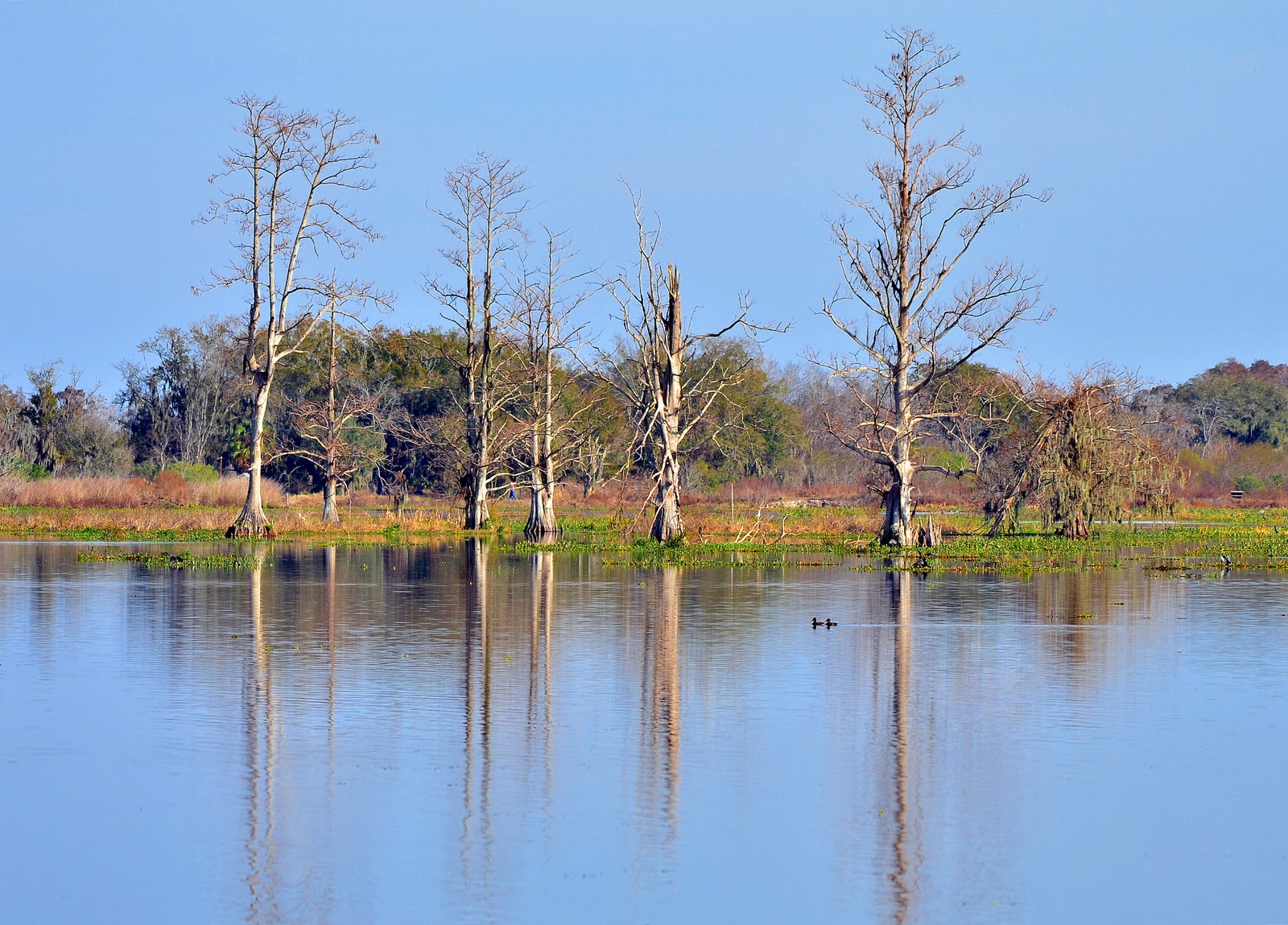 Dina's City Wildlife Adventures Amazing Circle B Bar Reserve