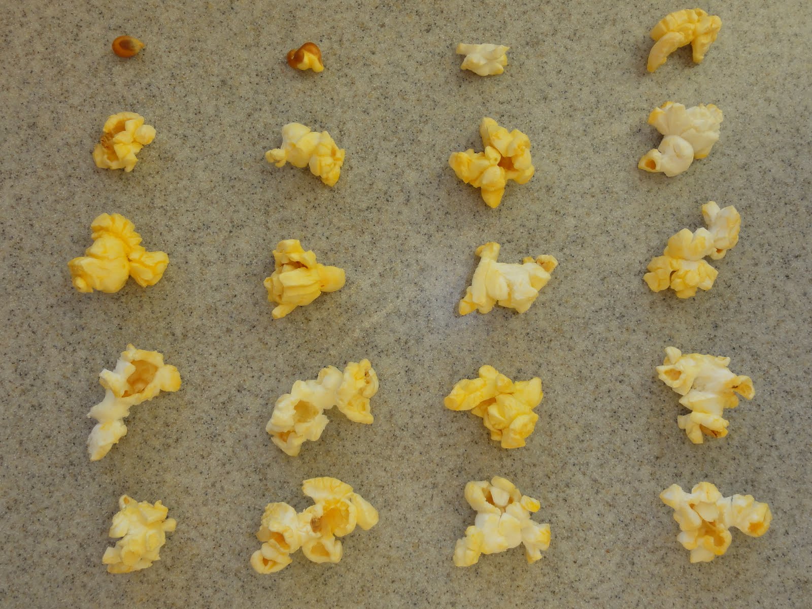 FADN102 Design Fundamentals Popcorn Differences