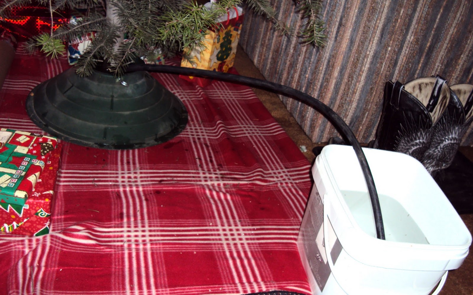 Live to learn Keep Your Christmas Tree Watered While You're Away