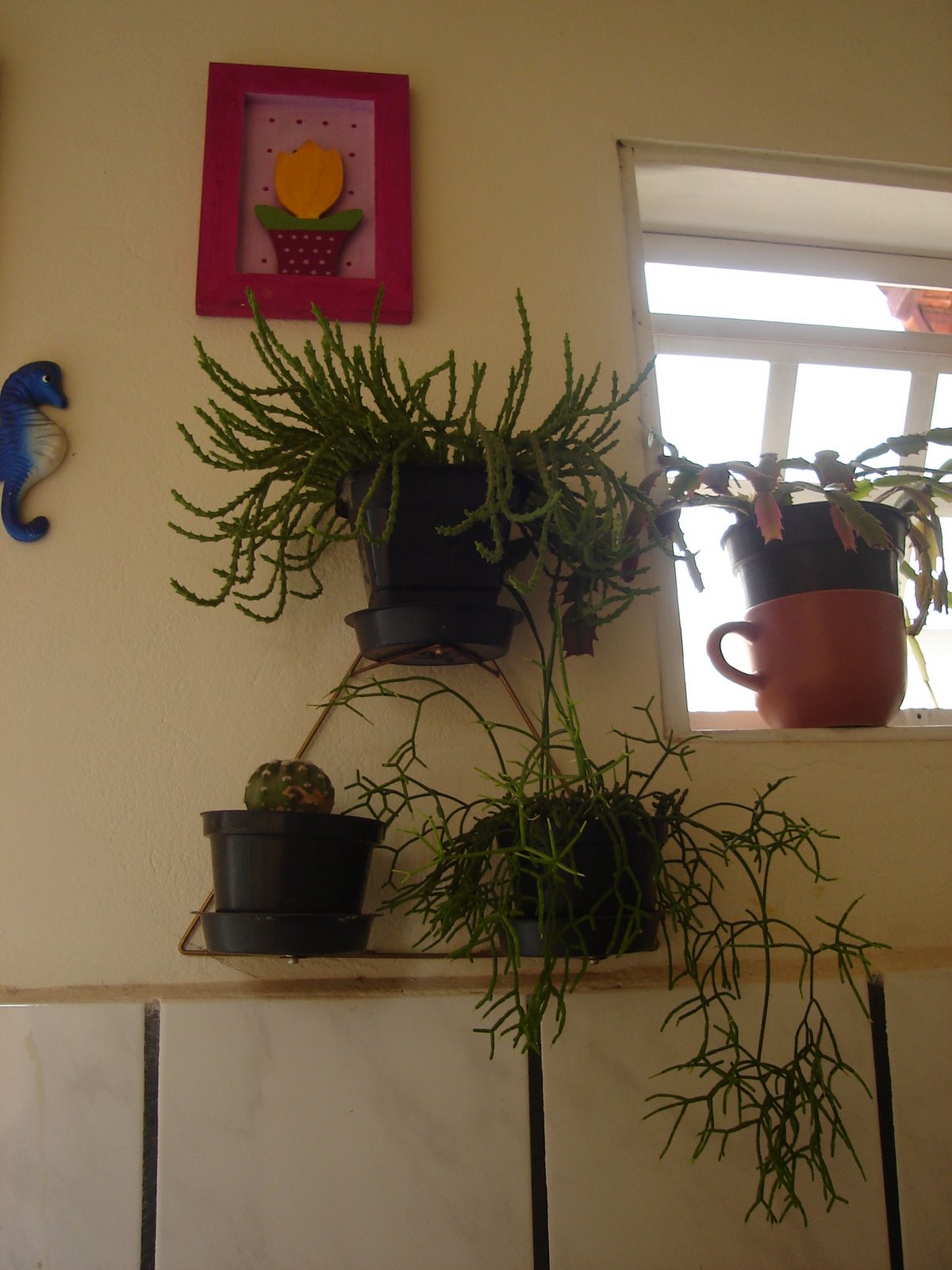 [fotos+novembro+2008+026.jpg]