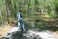 The Withlacoochee River half a mile south of its banks flowing across the Four Freedoms Trail in Madison County, Florida, 4 April 2009.