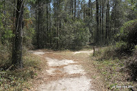 Maclay junction, turn left.